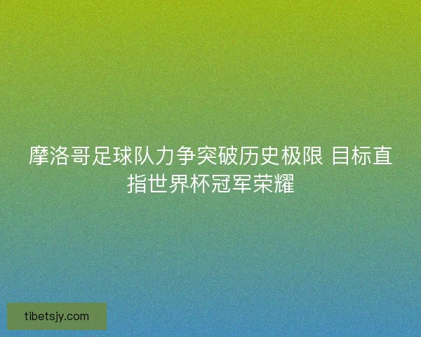 摩洛哥足球队力争突破历史极限 目标直指世界杯冠军荣耀