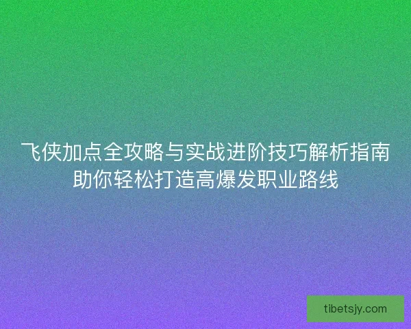 飞侠加点全攻略与实战进阶技巧解析指南助你轻松打造高爆发职业路线