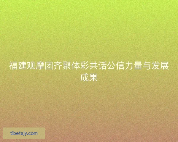 福建观摩团齐聚体彩共话公信力量与发展成果
